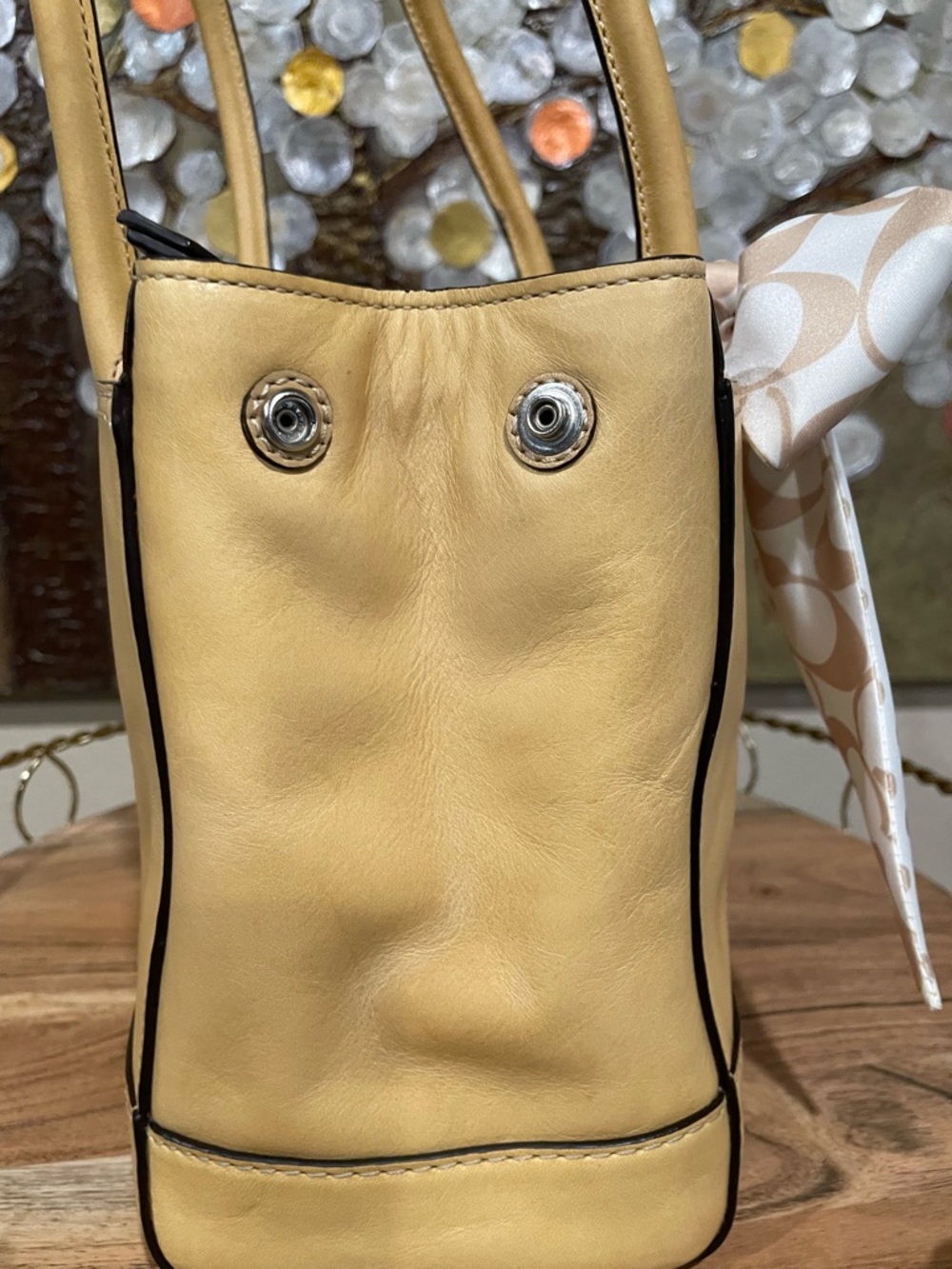 Coach Y2K Hampton Madeline Carryall (F13675). - Picture 6 of 16